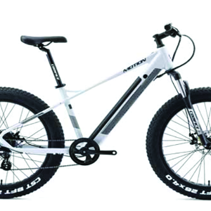 Vélo Fat Bike  électrique 500w blanc