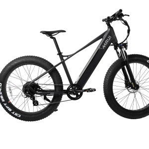 Vélo Fat Bike électrique ARES 500w noir