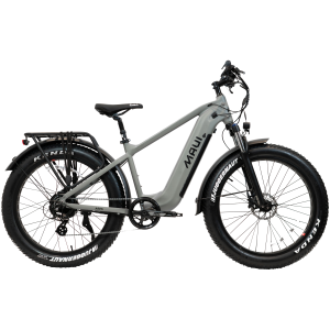VÉLO FAT BIKE ÉLECTRIQUE Hera 2024 500W Gris