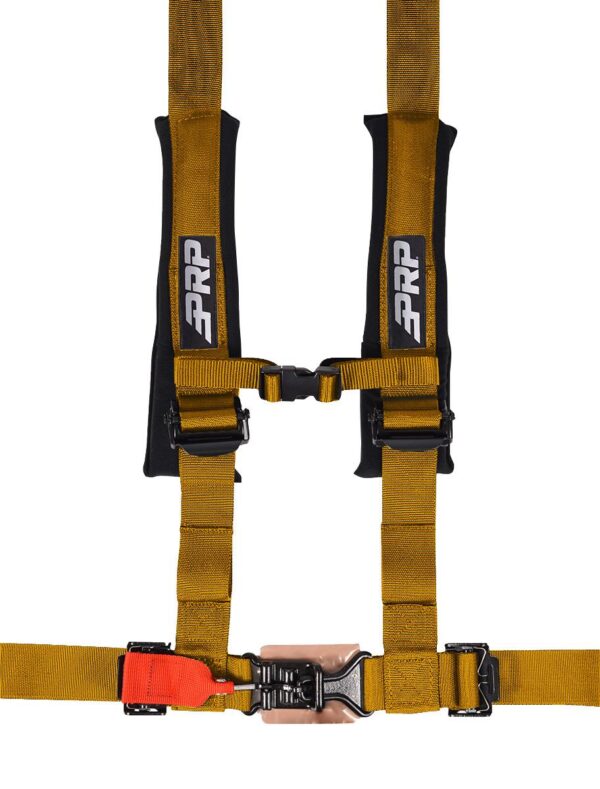 4.2 Harness with Latch and Link Lap Belt, Gold