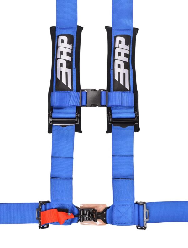 4.3 Harness, Blue