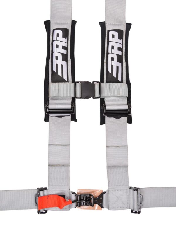 4.3 Harness, Silver