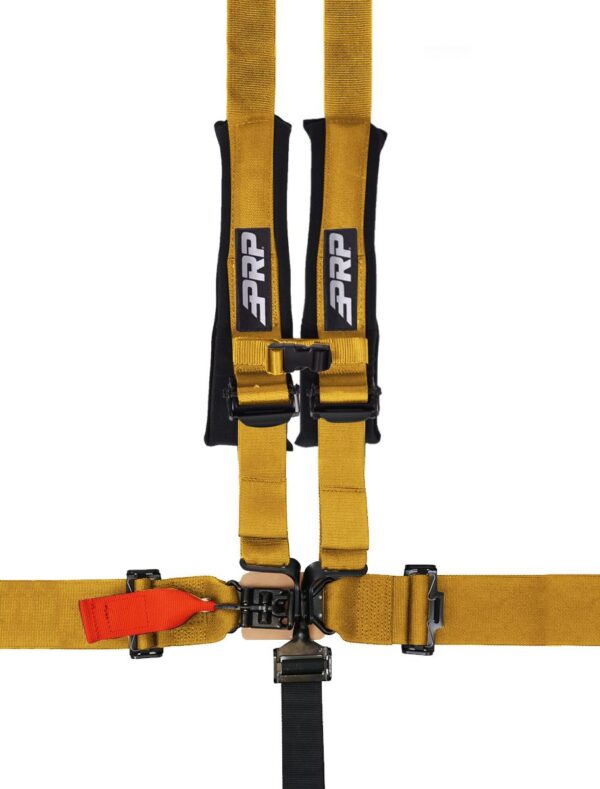 5.2 Harness with Shoulder Straps Sewn to Lap, Gold