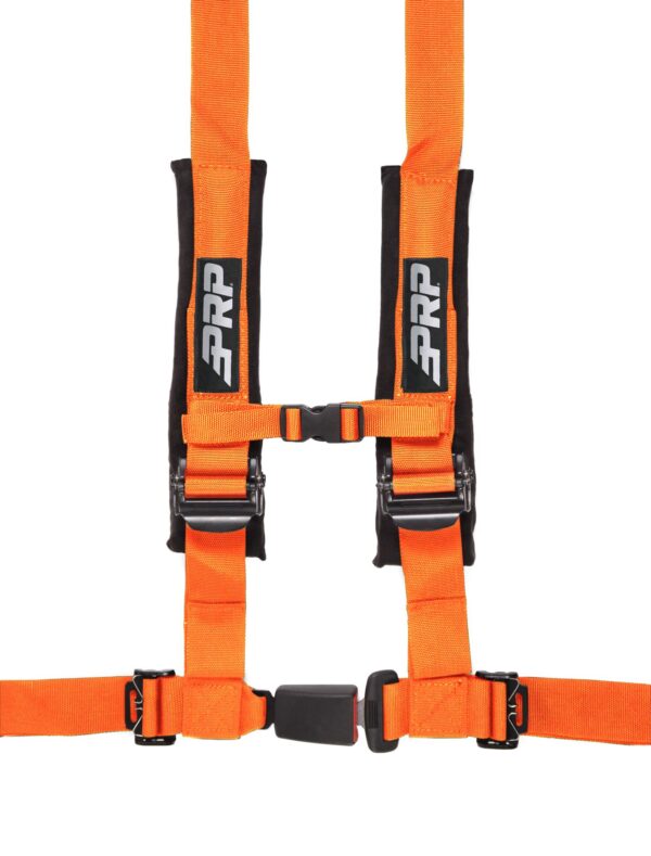 4.2 Harness, Orange