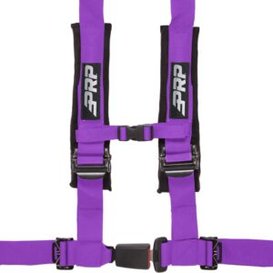 4.2 Harness, Purple