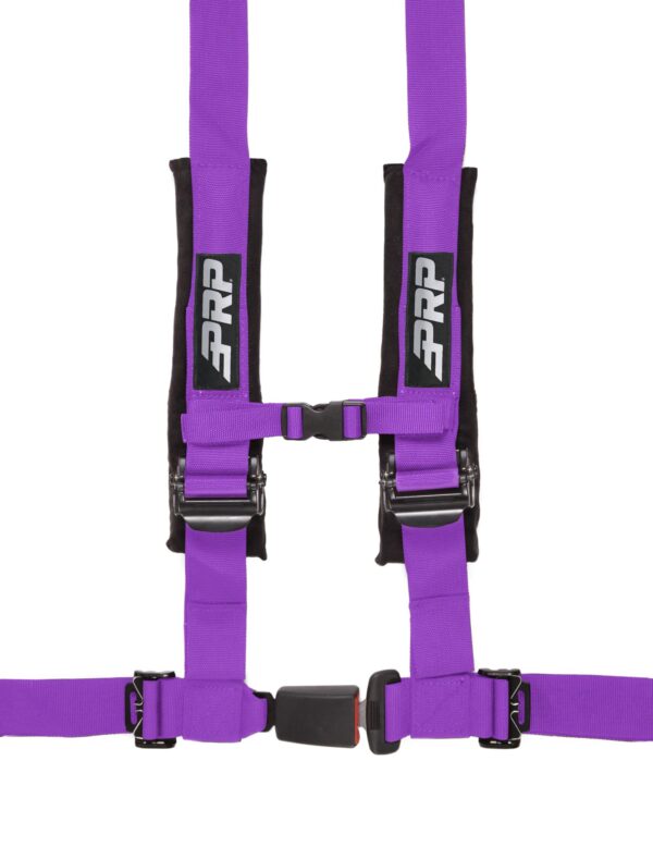 4.2 Harness, Purple