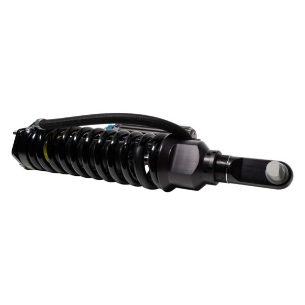 Bilstein Shock Absorbers