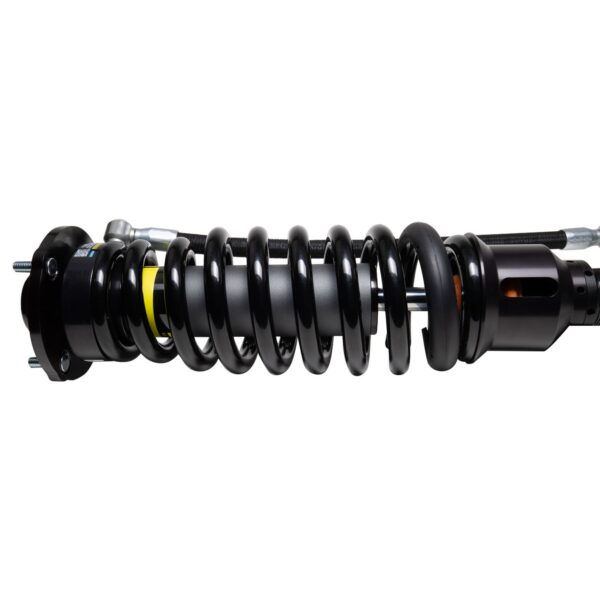 Bilstein Shock Absorbers