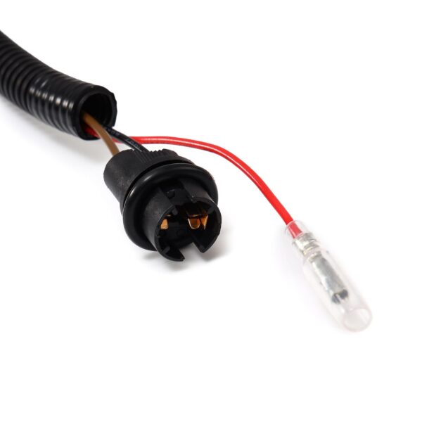 AlphaRex- 19-24 Chevrolet Silverado Tail Lights Converters