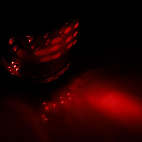 Winjet TAIL LIGHTS