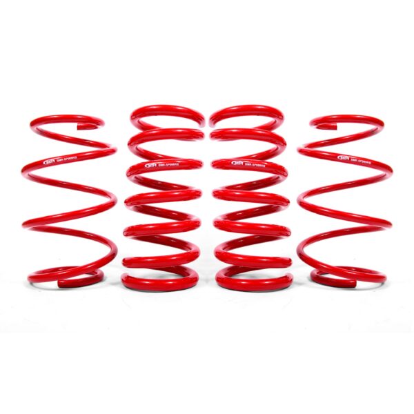 Lowering Springs, Set of 4, Minimum Drop Front, Drag Version