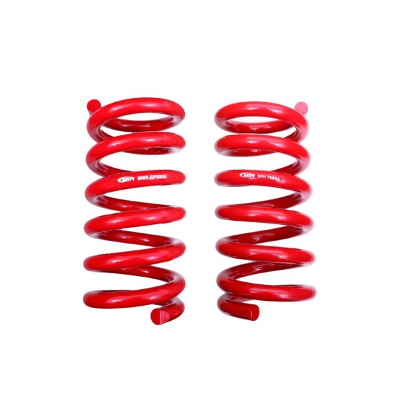 Lowering Springs, Rear, Handling Version, GT350