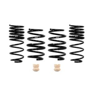 Set of 4 Springs