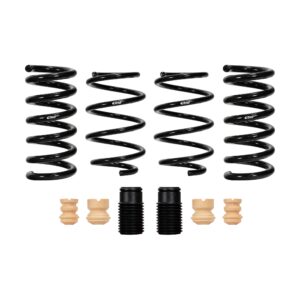 Set of 4 Springs