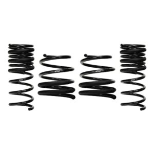 Set of 4 Springs