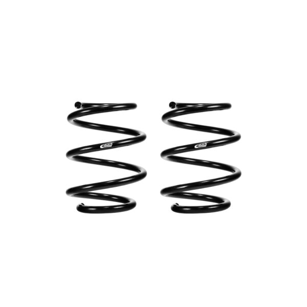 Set of 2 Springs