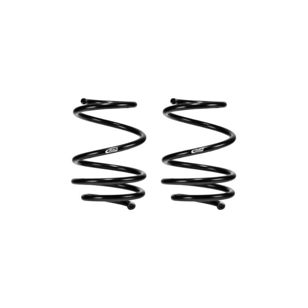 Set of 2 Springs