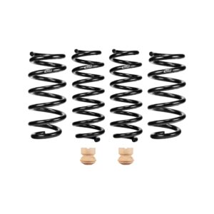 Set of 4 Springs