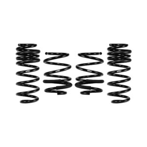 Set of 4 Springs