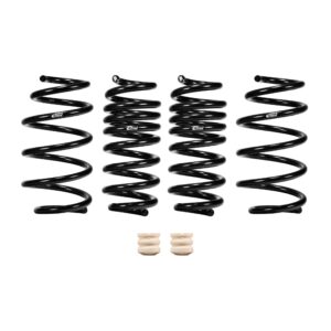 Set of 4 Springs