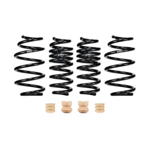 Set of 4 Springs