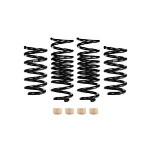 Set of 4 Springs