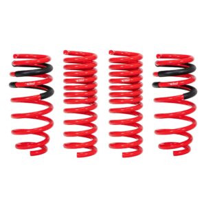 Set of 4 Springs
