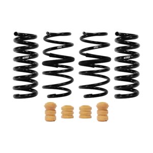 Set of 4 Springs