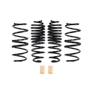 Set of 4 Springs