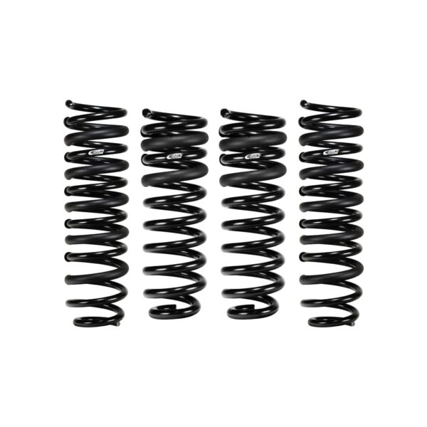 Set of 4 Springs
