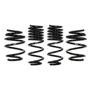 Set of 4 Springs
