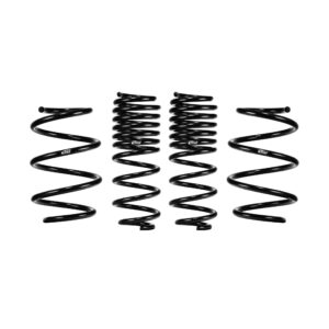 Set of 4 Springs