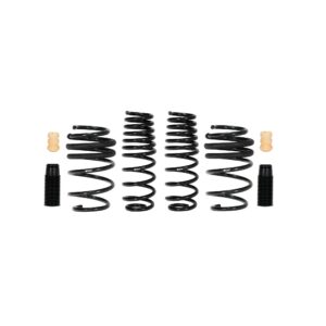 Set of 4 Springs