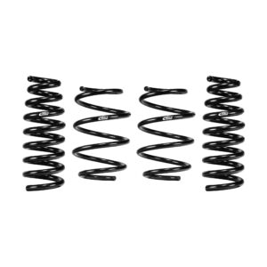 Set of 4 Springs