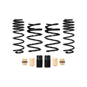 Set of 4 Springs