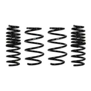 Set of 4 Springs