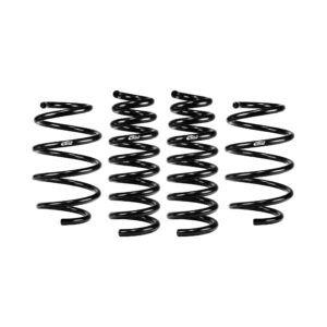Set of 4 Springs