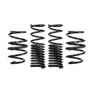 Set of 4 Springs