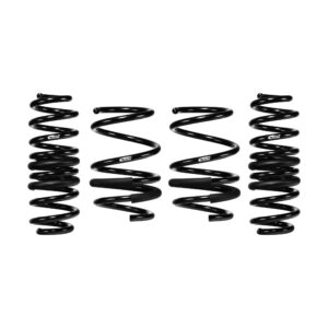 Set of 4 Springs