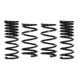 Set of 4 Springs