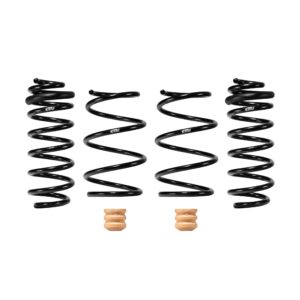 Set of 4 Springs