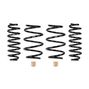 Set of 4 Springs