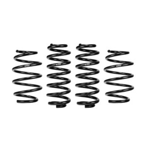 Set of 4 Springs