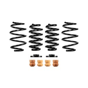 Set of 4 Springs