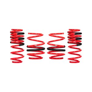 Set of 4 Springs