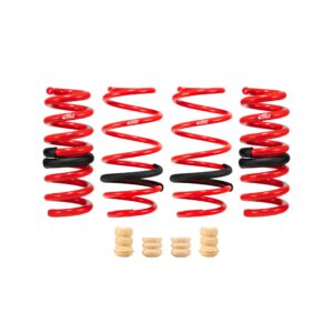 Set of 4 Springs