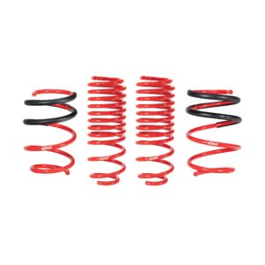 Set of 4 Springs