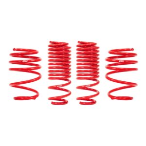 Set of 4 Springs