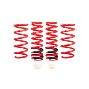 Set of 4 Springs