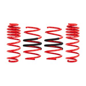 Set of 4 Springs